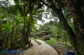 Cabana Romântica - Natureza, fogueira e cachoeiras - Image 3
