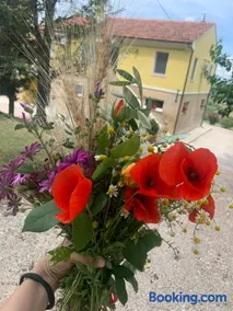 Casa in campagna la Roverella - Image 3