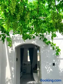 Zagara Suite - Image 3