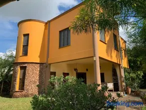 Lions Home - Image 4