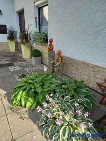 Apartmán Ina,Josefův Důl 356 - Image 1