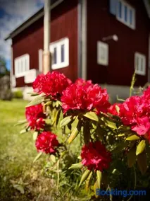 Photoeverhome - Image 4