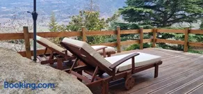Oasi verde - Image 2