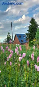 Zifinbungalov - Image 2