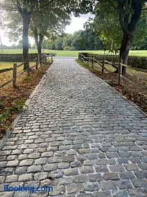 Broekemmolen - Nature getaway & green spot - Image 4