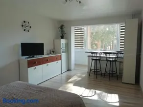 Light one room apartment - Image 2