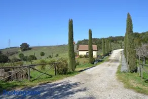 Podere Serra destri - Image 3