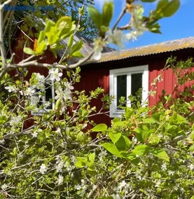 Grindhuset - Image 3