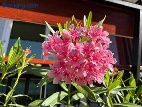 Mook Raya Resort - Image 3