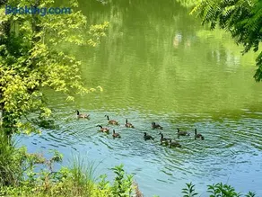 Almost Heaven At The River - Image 3