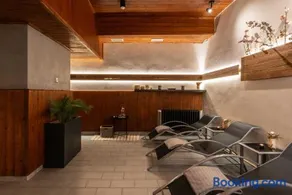 Wellness Hotel Šedý Vlk - Image 3