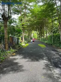 KhaoYai Treescape Retreat คอนโดบ้านชลธารเขาใหญ่ 2 ห้องนอน 2ห้องน้ำ 88ตารางเมตร ถนนธนะรัชต์ - Image 2