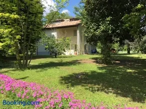 Acero Giallo - Image 1