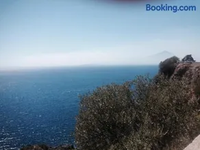 La Bouganville - Image 1