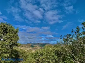 August de Saint Hilaire/ Reserva Alto da Colina - Image 4