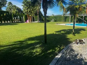 Quinta das Palmeiras - Image 2
