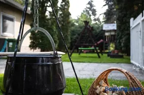 Dunakanyar, Szentendrei sziget Szamóca Vendégház Horány télen nyáron - Image 4