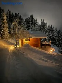 The Forest House - Image 3