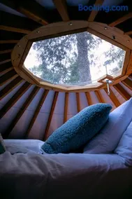 Purple City Retreats - Luxury Yurt & Spa - Image 4