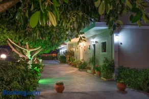 Tota Studios - Image 3