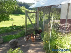 Zuckerbauernhof Unterkunft mit Hund - Image 4