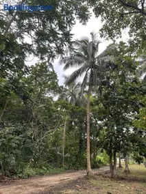 Helt Vanua Lodge - Image 5