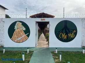 Casa Mangue - Image 4