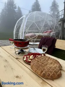 Panorama-Bubble Klewenalp - Image 2