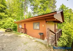 Lazy Bear Cabin near Nantahala Outdoor Center and Bryson City - Image 1