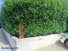 Guest room with private shower and toilet near Salzburg City - Image 1