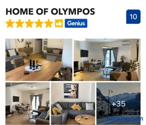 HOME OF OLYMPOS - Image 3