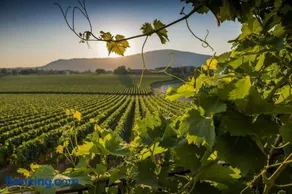 CasaViva - Grazioso Bilocale in Franciacorta - Image 1