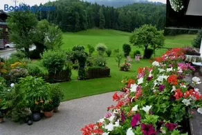 Treindlhof - Image 5