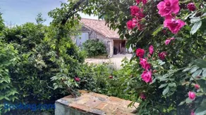 Domaine Dauget - Image 1