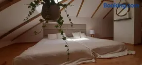 Domek - Apartament - Image 3