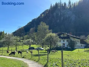 Alpaka-Hof Landinger - Image 5