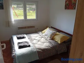 Vila Jezerce Zlatibor Zbojštica - Image 5