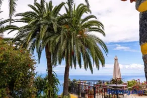 El Palmeral - Image 1