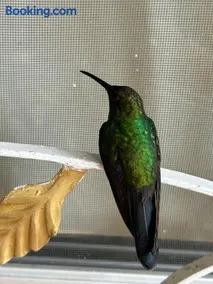 Finca Leito - Image 3
