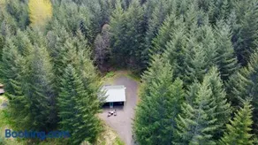 Enchanting Private Forest Retreat near Mt Rainier - Image 3