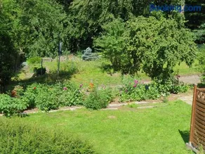 Ferienhaus in Geesthacht-Tesperhude direkt am Waldrand - Image 4
