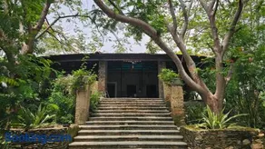 Mahamudra Forest Farm, Private Luxury Wellness Sanctuary - Image 4