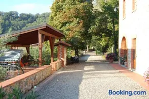 Poggio Ugo - Image 4