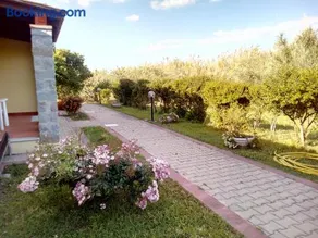 Su Pasu - Image 2
