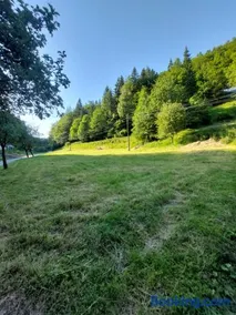 Only Meadow - Image 2