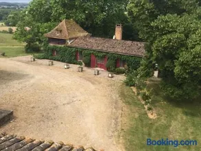 Le petit duc - Image 1