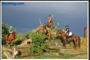 Ranch Calamity Jane - Image 4