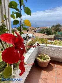 Guanche Bay - Image 4