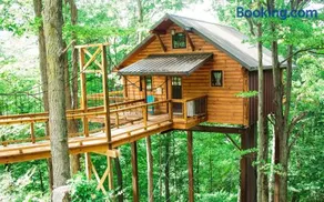 Treehouse #5 by Amish Country Lodging - Image 1