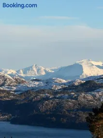 Birdbox Forland - Image 5